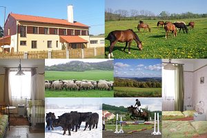 Ekofarma Natural Agro [Vergrößern - neues Fenster]