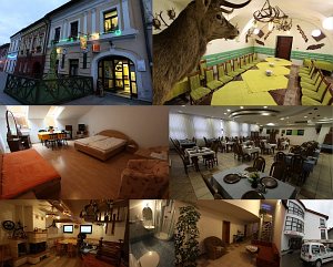 Gästehaus a reštaurácia U Jeleňa [Vergrößern - neues Fenster]