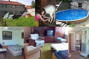 Ekologická farma Hvozd - chov ovcí a koz [Vergrößern - neues Fenster]