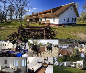 Bauernhof Somodi Tanya [Vergrößern - neues Fenster]