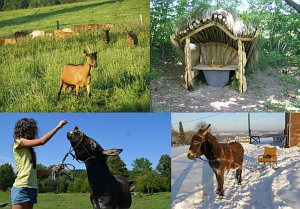 Kozí farma - soukromé tábořiště [Vergrößern - neues Fenster]