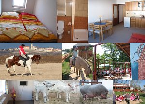 Zoopark Zelčín - apartmán a hospoda U Bedřicha [Vergrößern - neues Fenster]