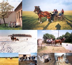 Bauernhof Trnka - kemp a mini penzion [Vergrößern - neues Fenster]